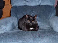 Thursday January 25, 2007 05:10 - sierra, grandma and papa 033.jpg